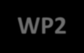 WP2 INFORMATION GAPS AND