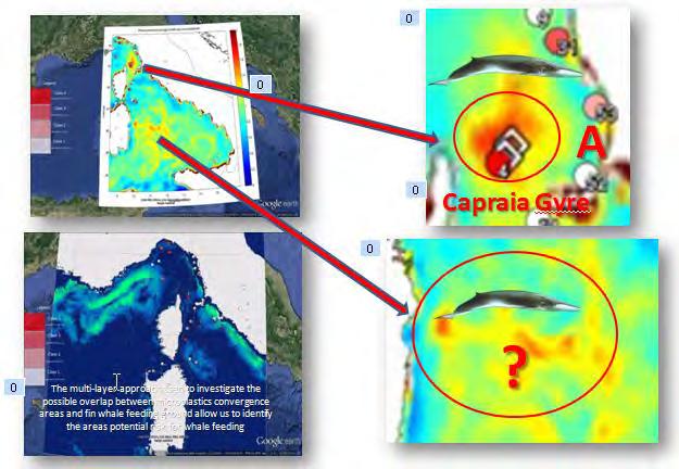 2 2.2.1 Identification of plastic debris accumulation hotspots by models and