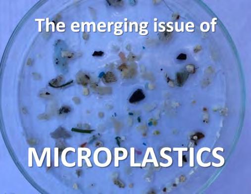 Microplastics