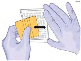 Appendix B Supplemental information How to seal plates for the PCR run B How to seal plates for the PCR run IMPORTANT!