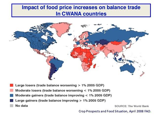 Impact of Food Price Increases