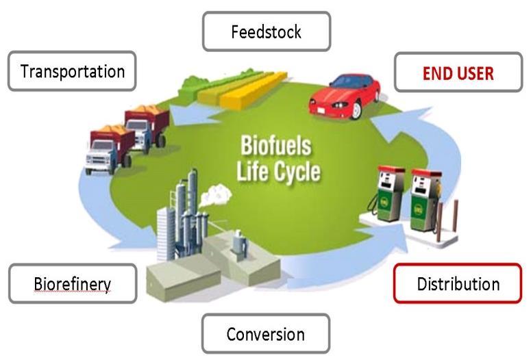 Barriers of future biofuels technology: GHG emissions Carbon reduction compared to fossil fuels: Life cycle Assessment