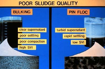 Bulking Sludge A phenomenon that occurs in activated sludge plants whereby the sludge occupies excessive volumes and will not concentrate readily.