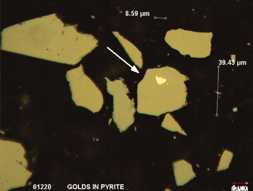 Mineralogy Samples of the ore used for metallurgical testwork were examined to determine the nature of the gold and sulphide minerals.