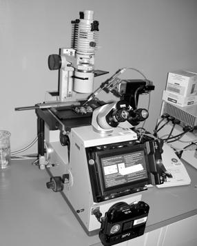 Microinjection is difficult and time-consuming Only a limited
