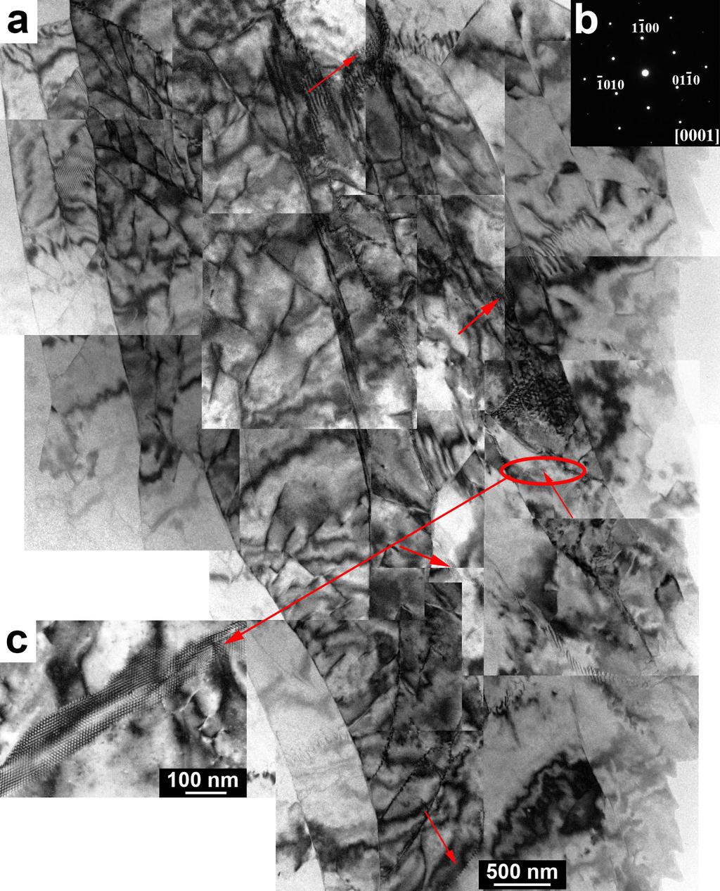 Figure S1. TEM images showing the distribution of hexagonal patterns in one grain viewed along the [0001], as indicated from the diffraction pattern in b.