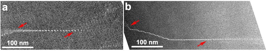 2. Low-angle grain boundaries with Gd-segregated dislocations When the electron beam is along <0001>, low-angle grain boundaries consist with a set of Gdsegregated dislocations, showing as the array