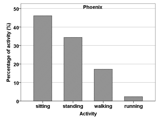 Chapter 5 Descriptive analysis Figure 5.7 Activity of participants in Phoenix for the last ten minutes before the interview Figure 5.