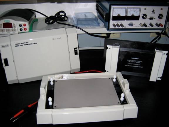 Western Blot Analysis Semi-Dry Blot apparatus The western blot (alternately, immunoblot) is a method