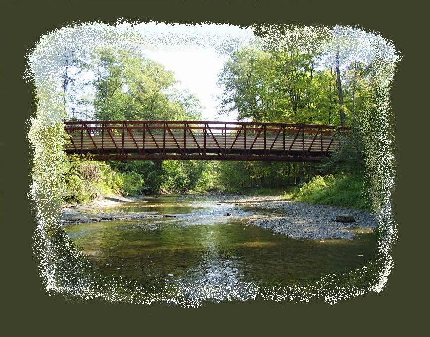 Walnut Creek Watershed Environmental Quality Assessment Report May 2007 Bridging the Gap Between