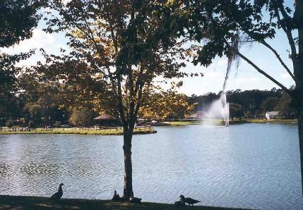 Artificial Lakes Reservoir Lakes Retention Ponds Real Estate Lakes, Borrow