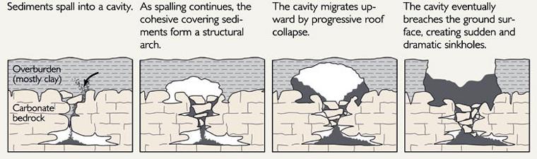 Sinkhole lakes Cover-collapse Most common type in Florida Solution cavity develops in limestone can t support overlying weight, abrupt