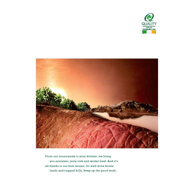 UK Consumer Campaign Autumn 2008 Full page colour insertions within weekend supplements Increase awareness amongst target market of a natural alternative to both British beef and expensive organic