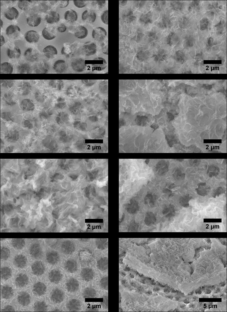 7 (c) (d) (e) (f) (g) (h) Fig. 4.25. SEM images of the doped Ni anti-dot samples probed in Fig. 4.26: the first row is the 5 + 2.