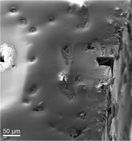 Fig. 4 Sample filled by epoxy-based glue (left image). Note the smooth surface caused by a well penetrated filling of the pores.