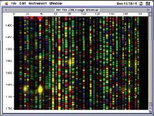 Bio-sensing: Gene Sequencing The fluorescently labeled fragments that migrate through gel are excited, which sends out light of a