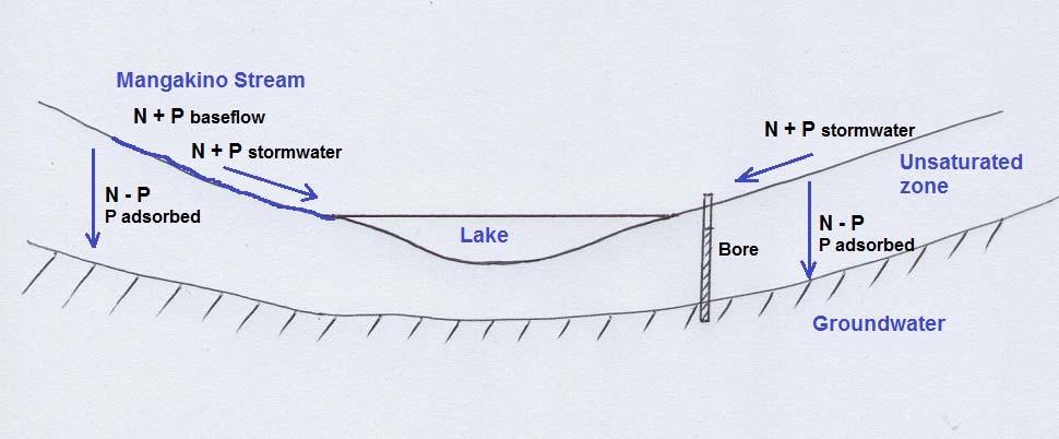 There are a number of incised ephemeral flow paths, including the Awaroa channel that indicates considerable flood flows occur. Local comment supports this. Figure 3 Schematic of lake model.