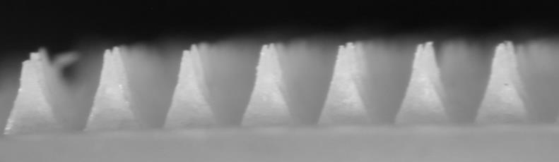 HIGH-LOADING DISSOLVING MICRONEEDLES 600 µm T 0 T 30 s T 5 min