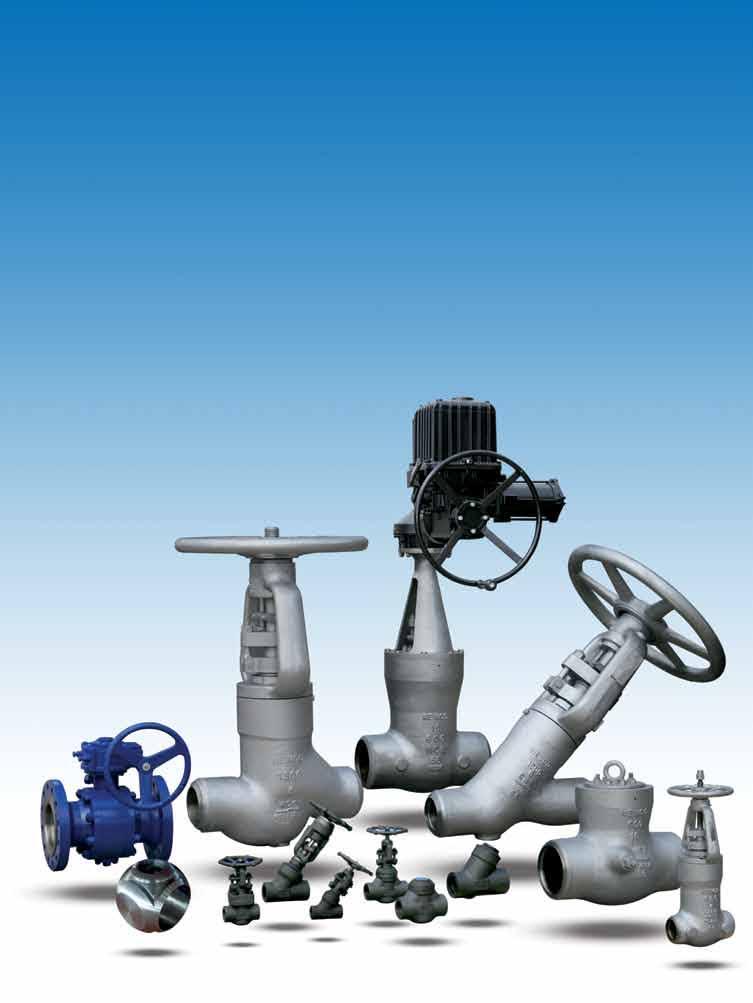 POWERful Performers Newmans manufactures a complete line of Newco, OI, and ooper valve products for use in a broad range of applications within Power and Process Industries.