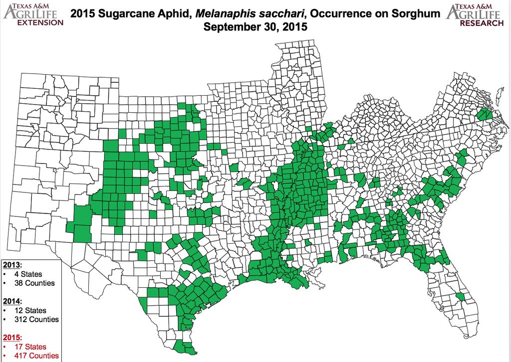 Figure 1. The known distribution of sugarcane aphid on sorghum in the U.S. as of 30 September 2015. The closest populations were in the far eastern counties of NM. From, http://txscan.blogspot.