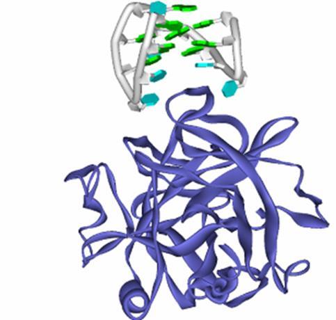 It is theoretically possible for aptamers to be used against any molecular target