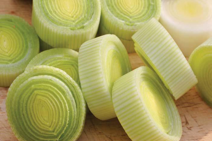 Crop Stage Product Total S Courgettes 99 174 Leeks - Grown on Fen Peat -