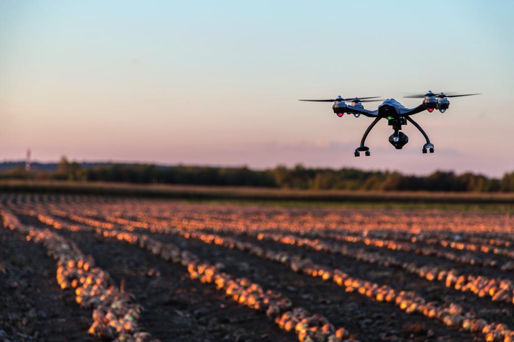 Artiﬁcial Intelligence in Agriculture To eradicate extreme