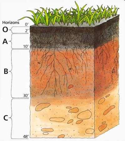 Soil moisture observations