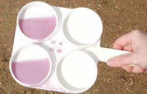 6. Mastitis The two periods of highest infection rate for cows is the beginning of the dry period and the start of the next lactation Clinical mastitis Clinical mastitis cases in the first month of