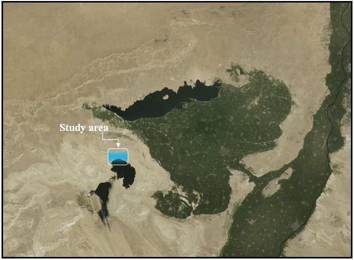 Figure 1: Study area location. MATERIALS AND METHODS The available materials for Wadi El Rayan area were found at Qarun Company and without these materials this research could not be accomplished.