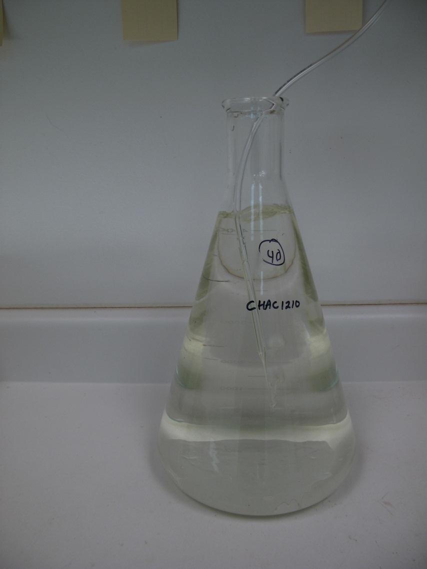 Sample Prep Warm sample to 25 C (Add sea salts to 20 g/kg) Filter 60µm (if live indigenous organisms present) Check D.O.