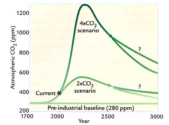 Projected CO2 Concentration Projecting the future CO2 concentration is more difficult than projecting the emission levels.