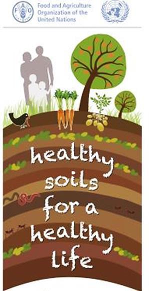 The three dimensions of soil health Physical Soil Health - Aggregation - Structure - Porosity - Water/Gas - movement SOIL HEALTH Chemical Soil Health - ph - CEC - Nutrient availability