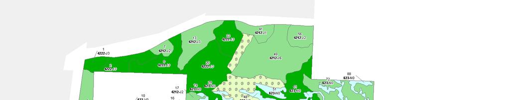 16, 17, 20, 21 22, 27, 28, 29, 31, 32, 33 County: Baraga Unit: Baraga YOE: 2014 Acres: 3,353 GIS Calculated Examiner: