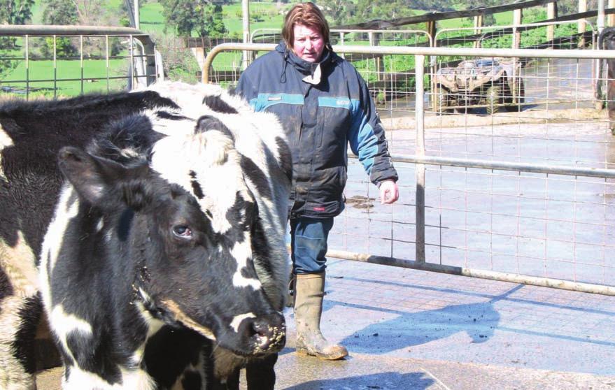 PREVENTING disease, weeds and pests Stock movements Animal diseases can be introduced in purchased animals and those that have been off the farm for example on agistment, cow parking and at shows.