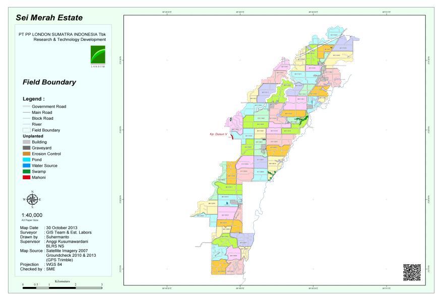 Figure 5: Map of Sei Merah Estate Location WORK ITEM: 956332 Doc ID: 3843 / Issue