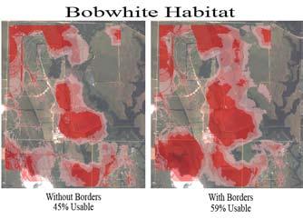 Grassland Bird Population Responses to Upland Habitat Buffer Establishment structure for nesting, roosting, loafing, thermal, and escape cover than adjacent row crop and grasslands within the study