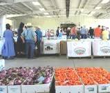 Megan Fenton Economic Development Specialist New Resource Available: Guide on How to Purchase at the NYS Produce Auctions A produce auction is a wholesale market for regionally grown produce.
