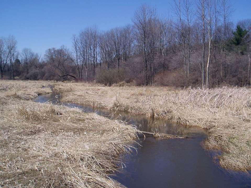 Use of WARSSS in Stream Restoration and Watershed Planning