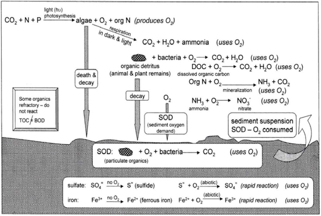Dissolved Oxygen TMDLs SOD; algae decomposition >>>