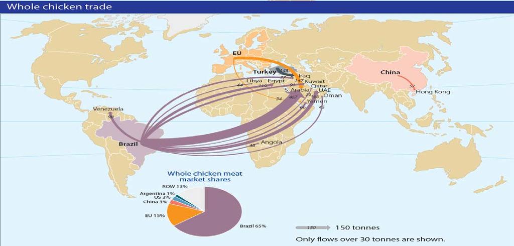 The World of Poultry Global Market Positioning