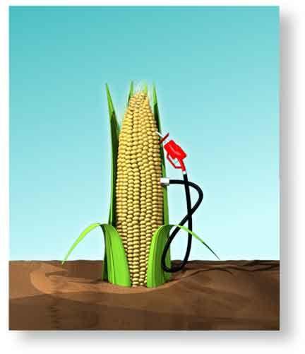 Corn based ethanol has a number of serious drawbacks The energy gain relative to the energy input is at most a modest 30%.