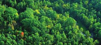 INDICATOR 3: Forest Cover How well are watershed forests being protected and regenerated?