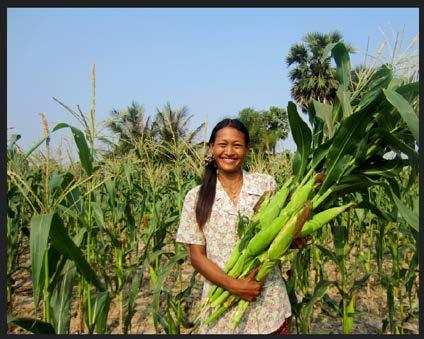 Sustainable Intensification Innovation Lab (SIIL) Women in Agriculture Network Cambodia: