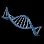 What is DNA and why is it so important? DNA is the blueprint for an organism. It contains genes (the instructions for assembling every protein in the body).