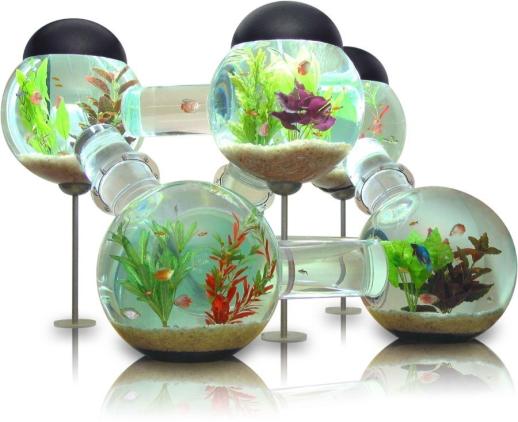 Cycles in Nature The Cycles of Matter Imagine an aquarium containing water, fish,