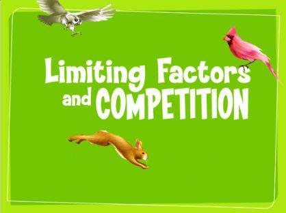 Limiting Factors In any ecosystem, the availability of food, water, living