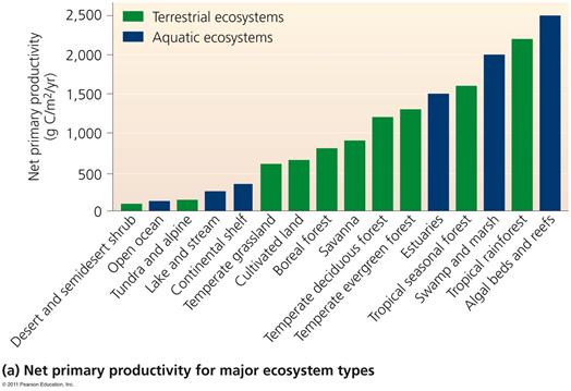 Net primary productivity of ecosystems High net primary productivity