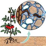 The organic matter is fully recyclable in a form that can be assimilated by plants thanks to the soil life.