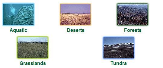 TYPES OF BIOMES EACH